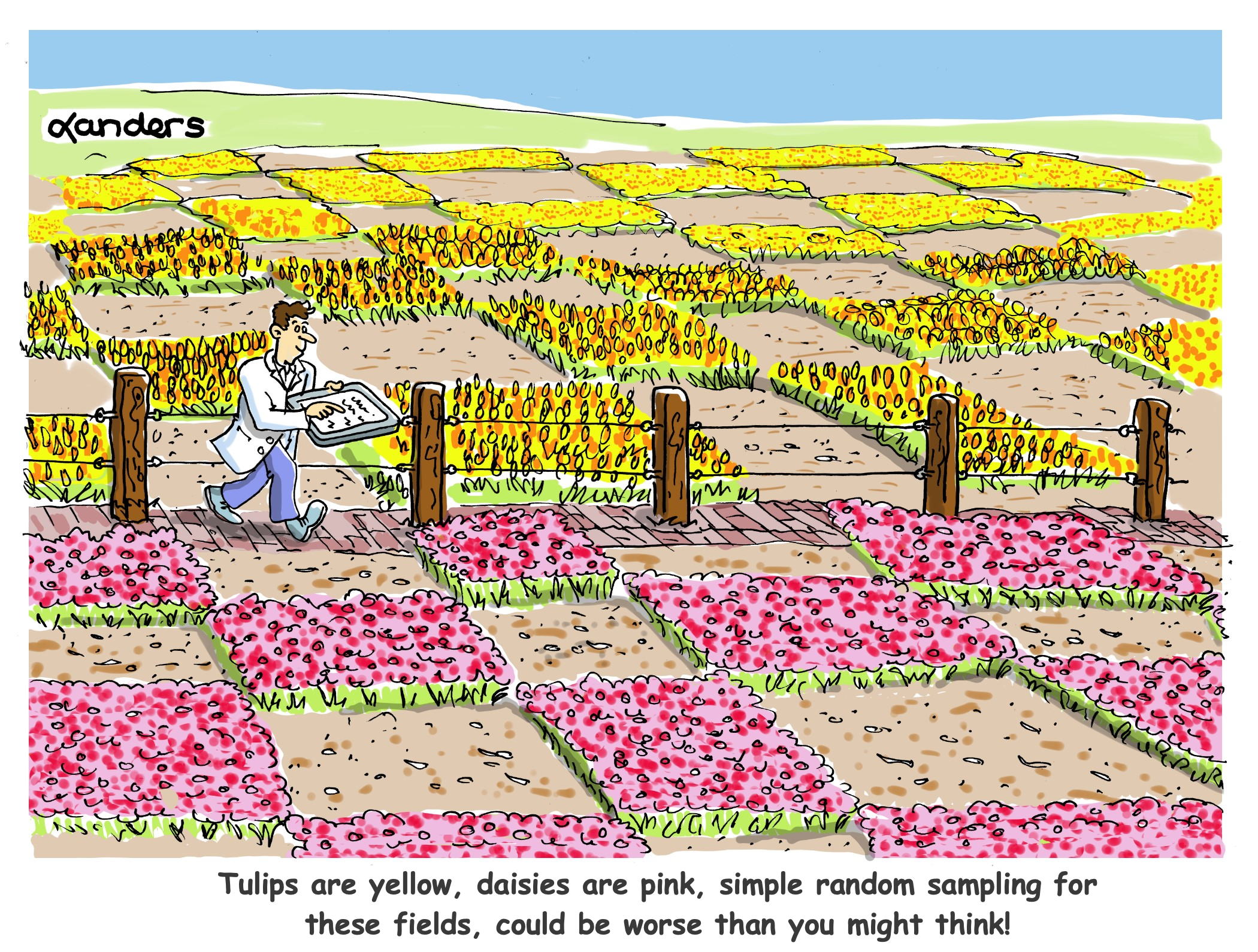 Cartoon showing fields of flowers with every-other-plot on one side of a fence being yellow and pink on the other side. Caption says: "Tulips are yellow, daisies are pink, simple random sampling for these fields, could be worse than you might think!"