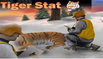 picture of TigerSTAT game