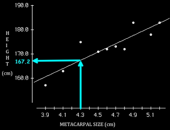 Height vs Metalcarpal Size