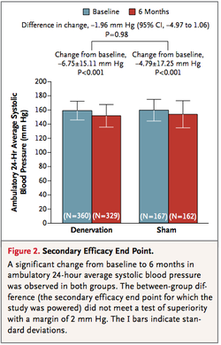 Renal Denervation2.png