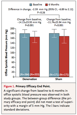 Renal Denervation1.png